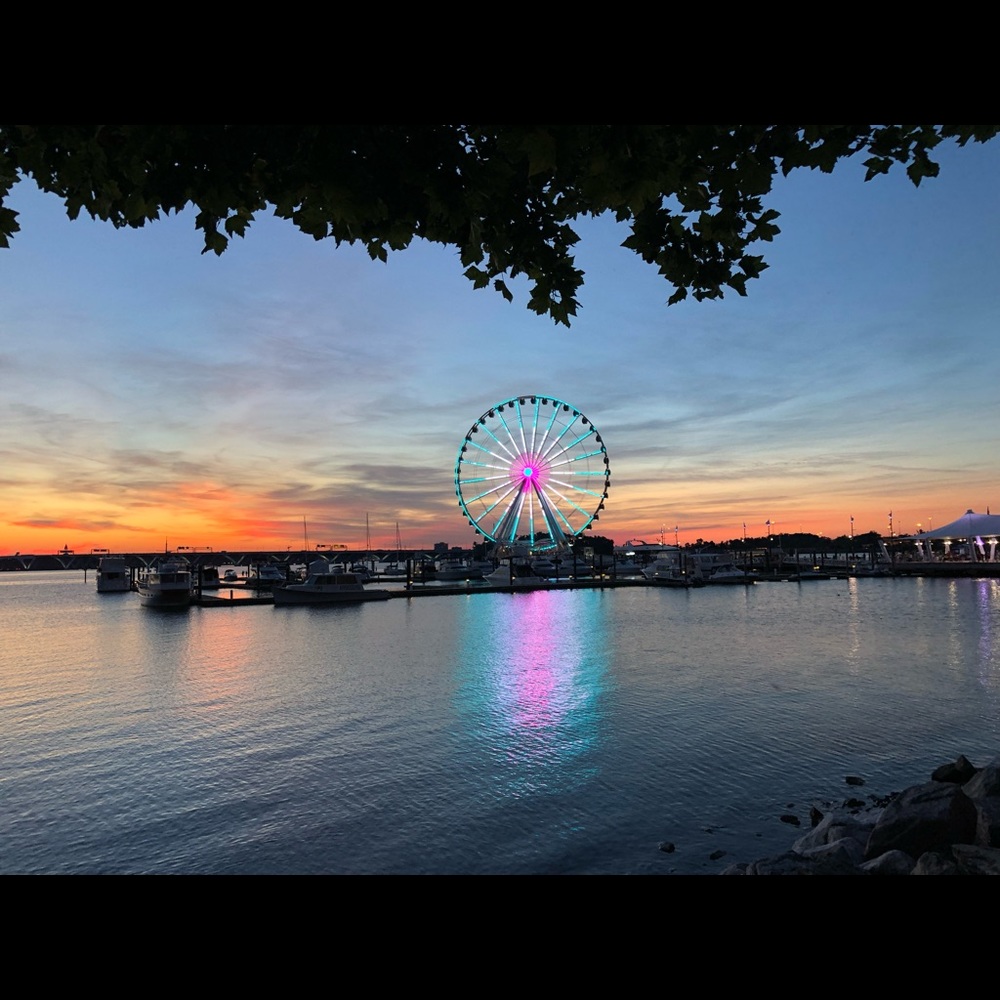 Meet your Posher, Layla